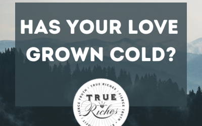 Has Your Love Grown Cold?