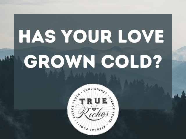 Has Your Love Grown Cold?