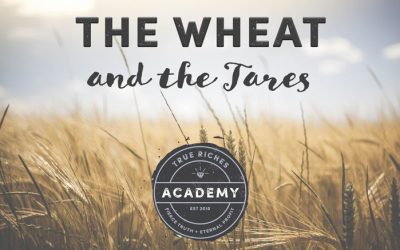 VIDEO TEACHING: The Wheat and the Tares