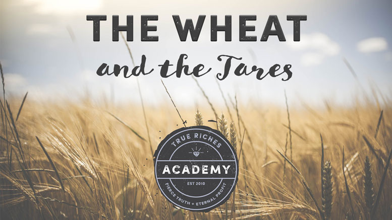 VIDEO TEACHING: The Wheat and the Tares